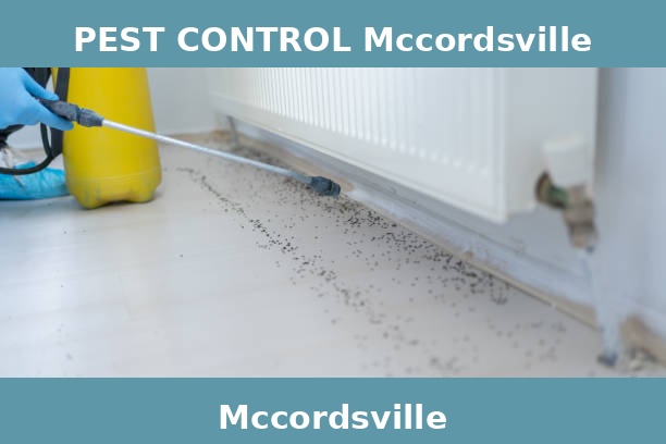 PEST CONTROL Mccordsville